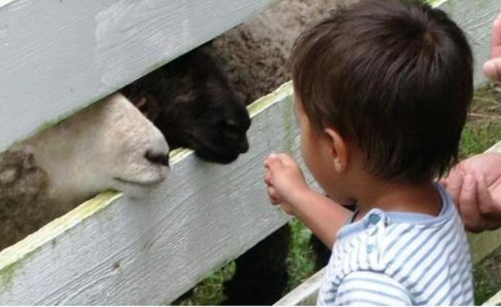Image: HCSV Down on the Farm